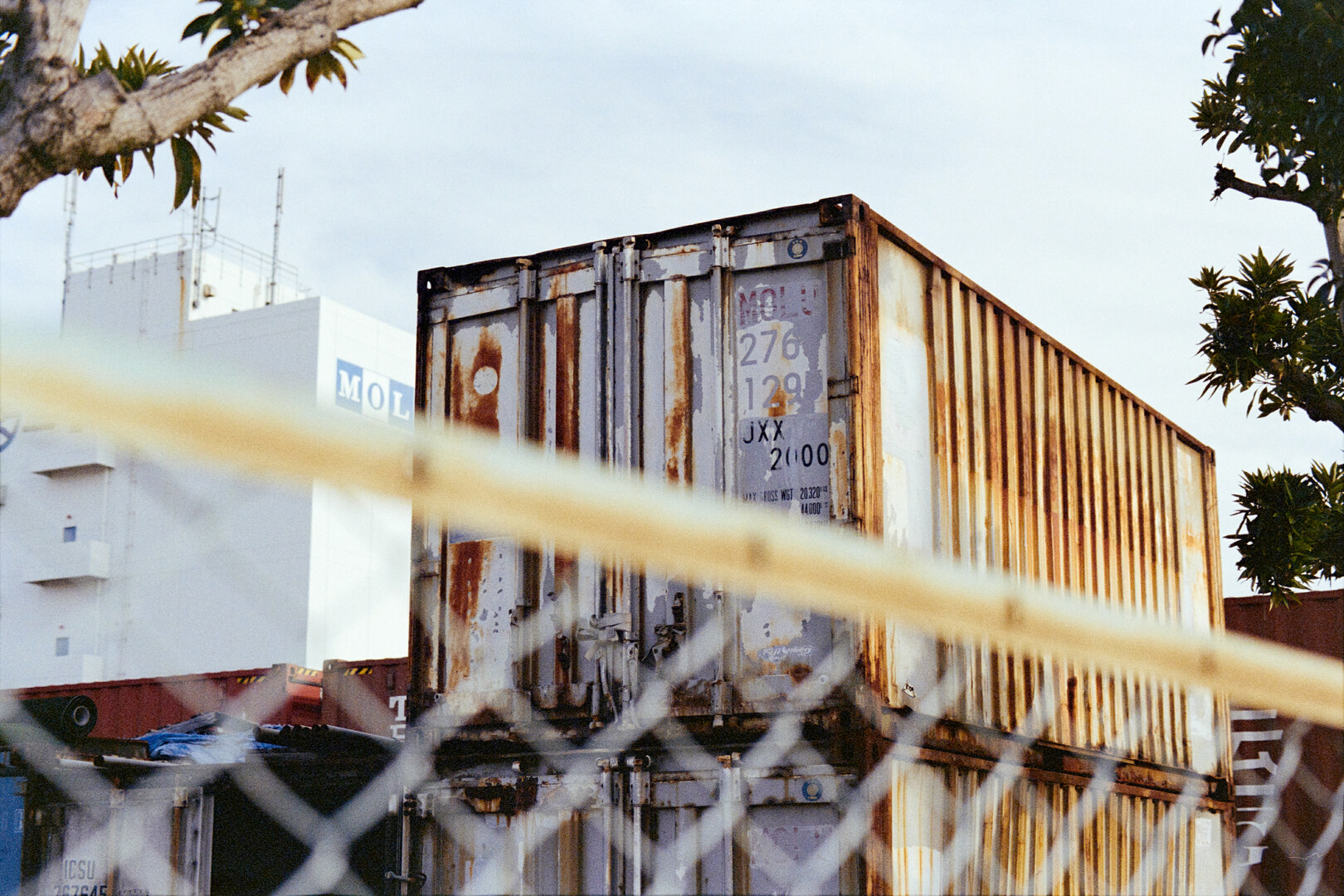 #00076 - 2024/01 - Kodak Color Plus 200 +2 - Shinagawa Seaside