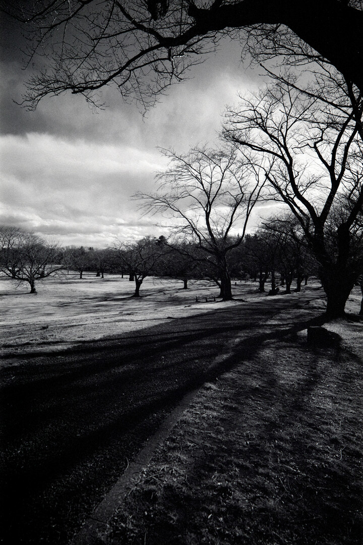 #00140 - 2024/03 - Rollei Infrared - Tachikawa