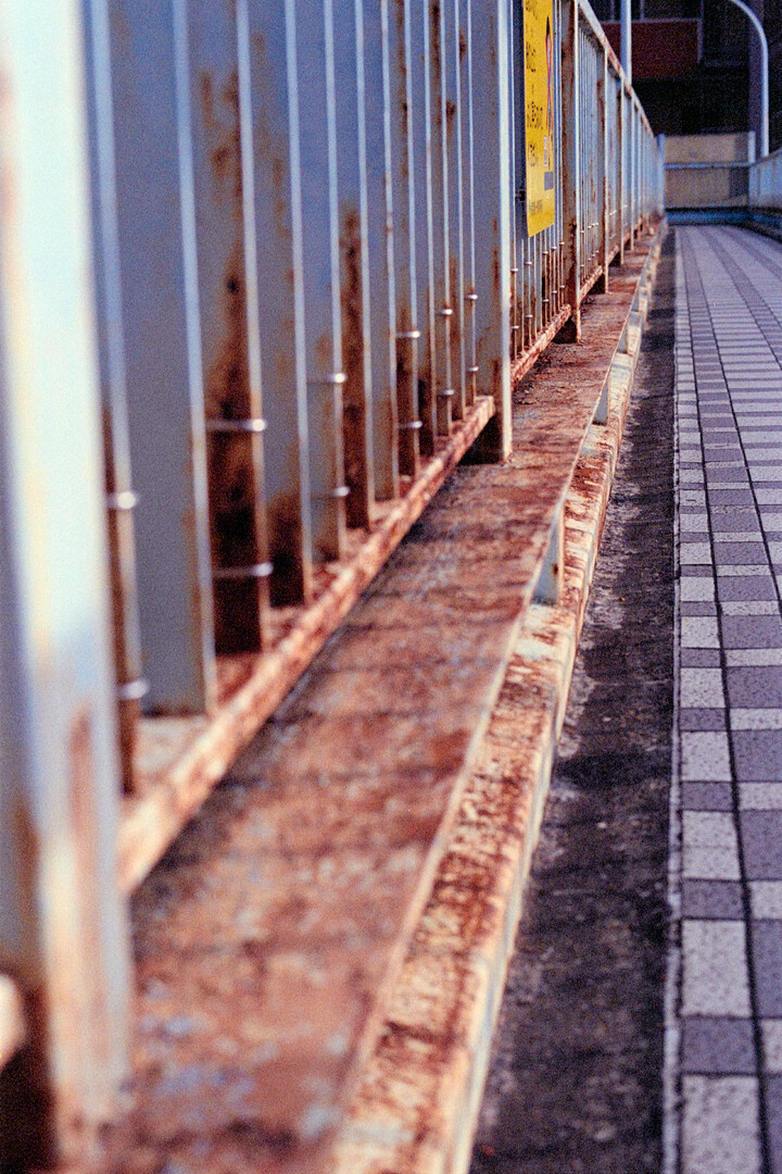 #00192 - 2024/02 - Kodak Gold 400 +1 - Bunkyo