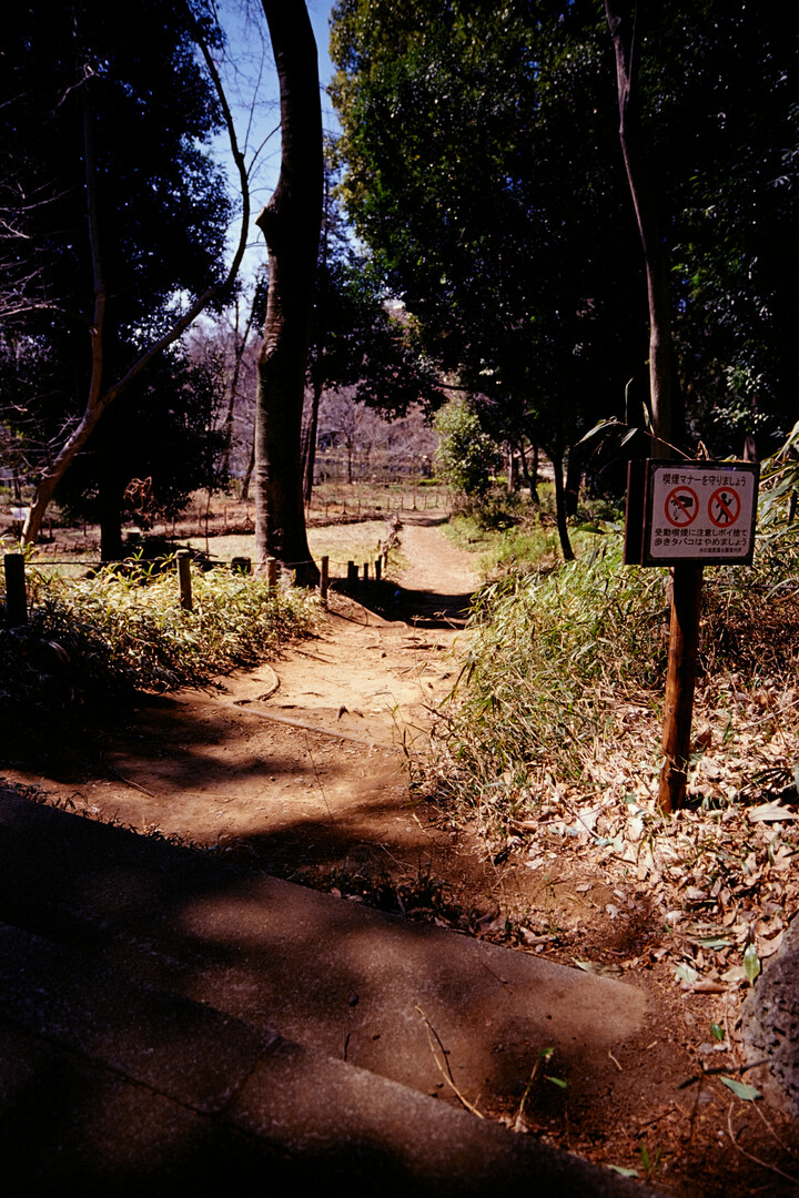 #00255 - 2024/03 - Kodak Ektachrome VS 100 - Kichijoji