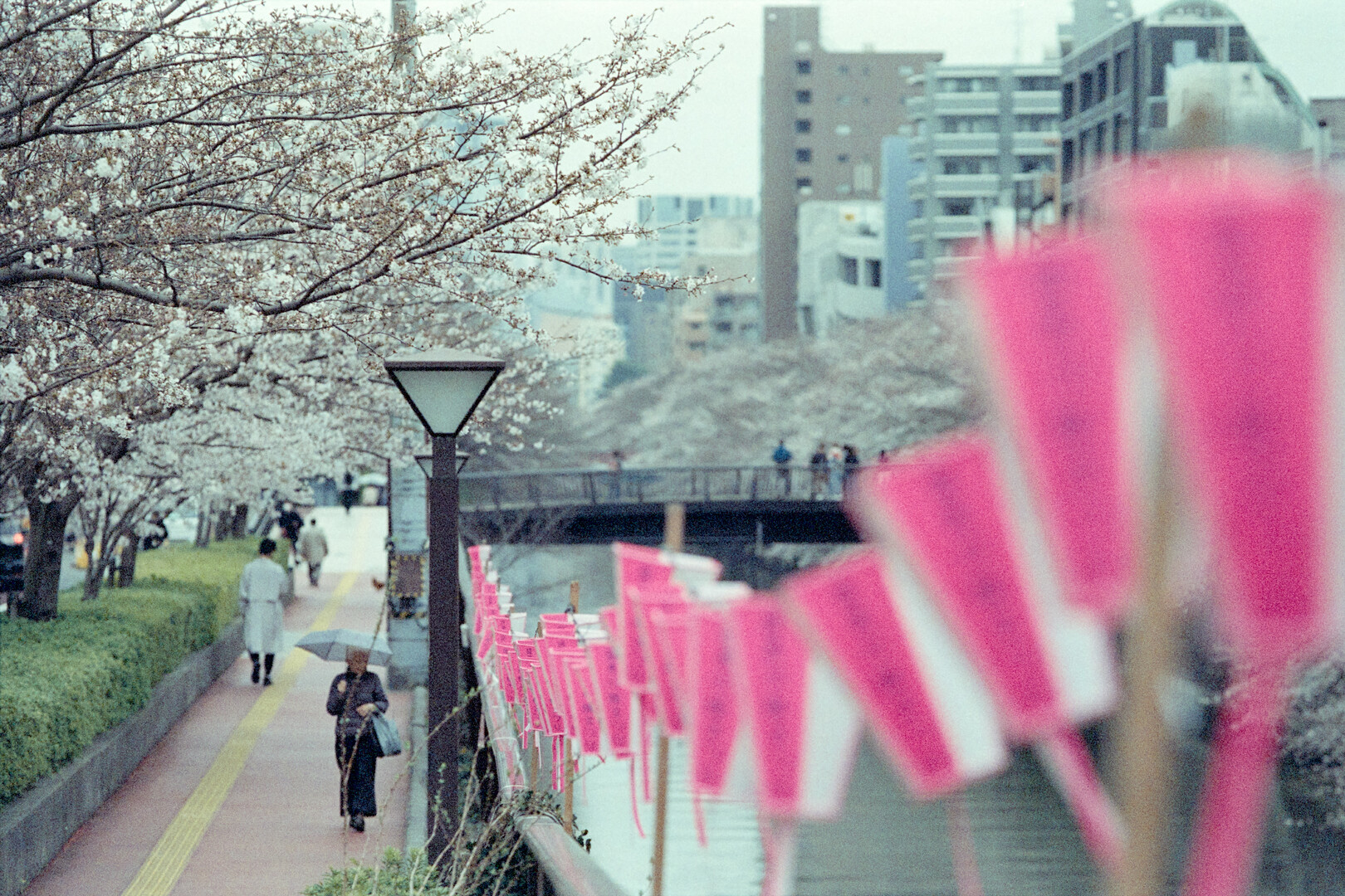 #00275 - 2024/04 - Fuji Natura 1600 - Meguro