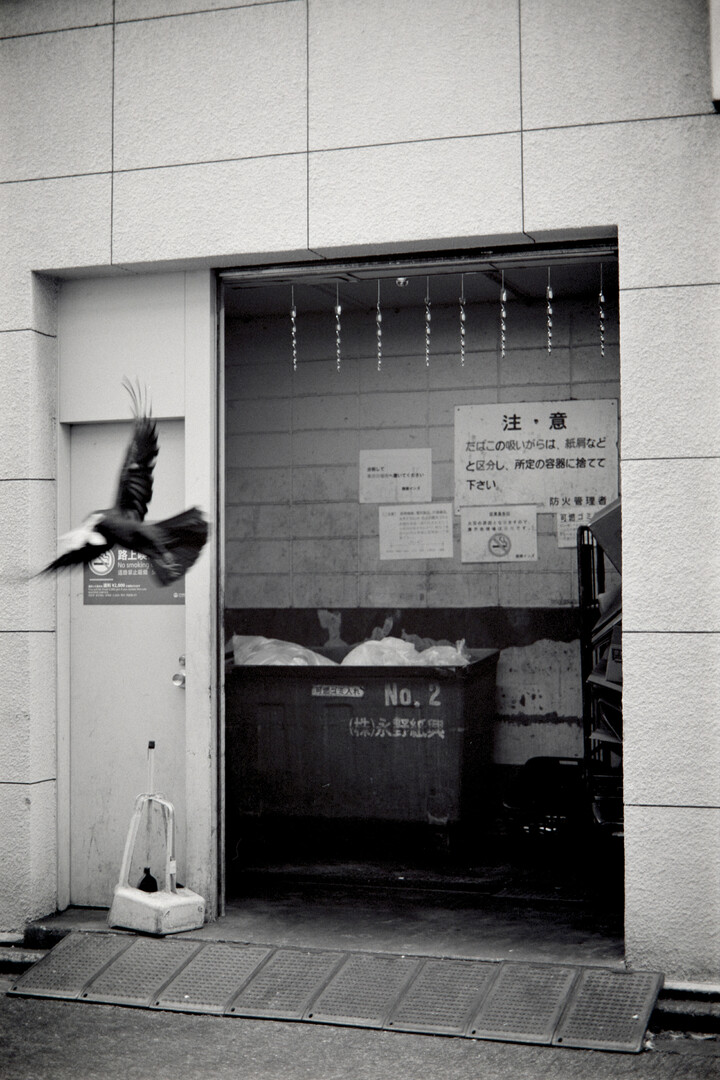 #00290 - 2024/04 - Rollei Infrared - Ginza