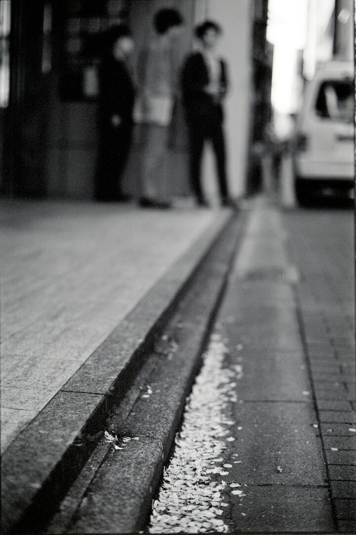 #00291 - 2024/04 - Rollei Infrared - Ginza