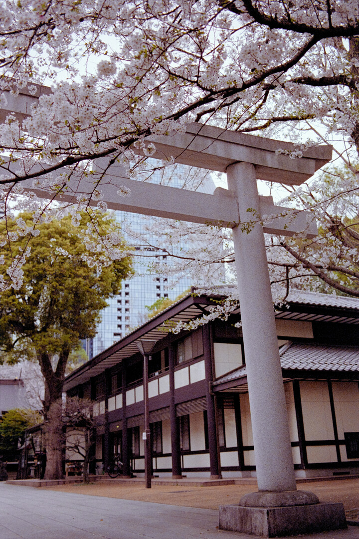 #00317 - 2024/04 - Kodak Gold 400 +2 - Shinjuku