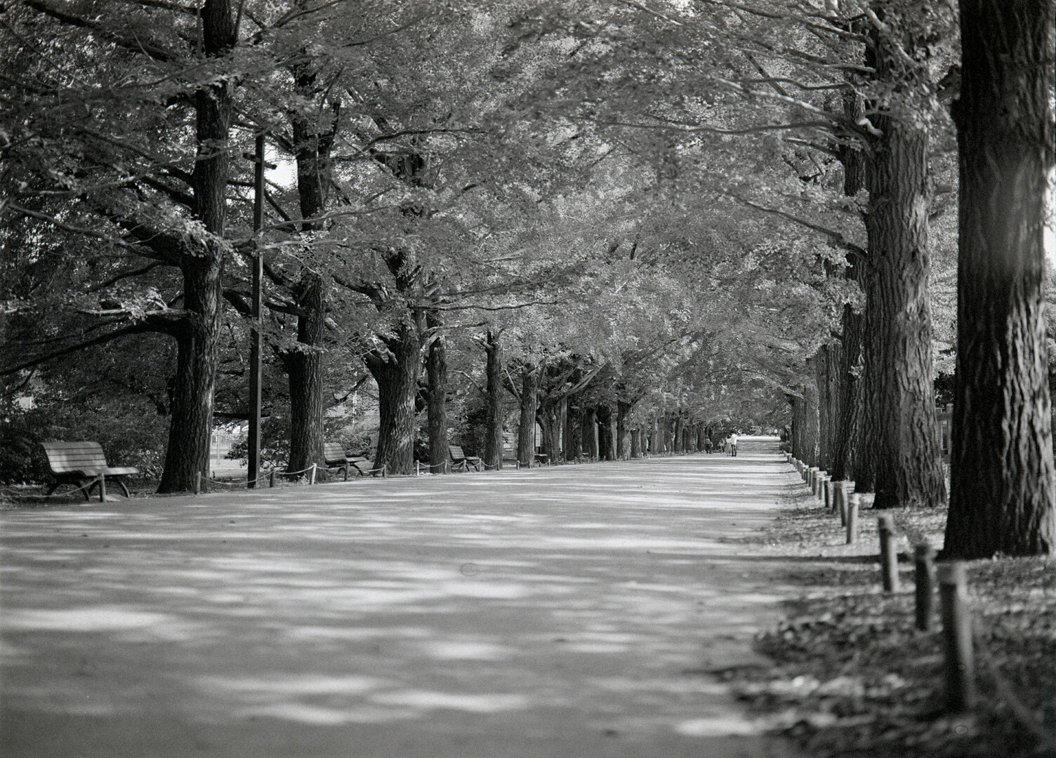 #00360 - 2024/05 - Fuji Neopan 400 - Tachikawa