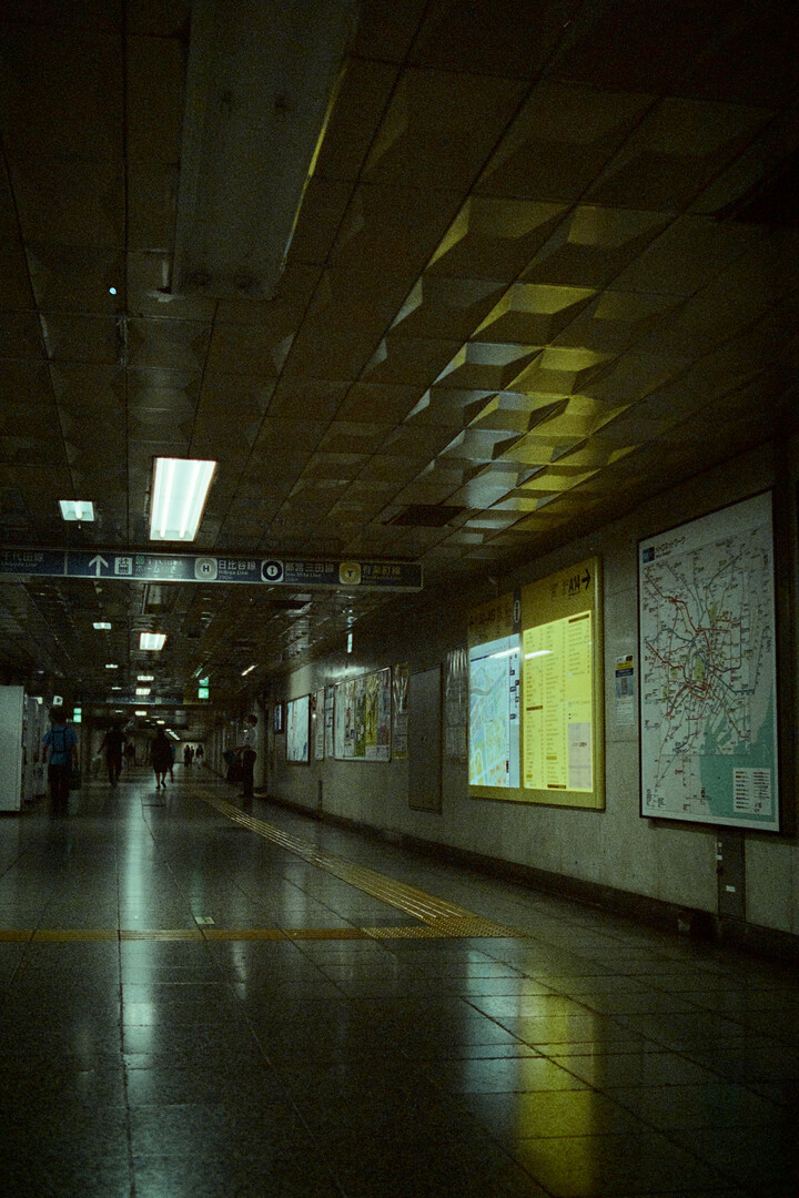 #00478 - 2024/06 - Fujifilm Natura 1600 - Hibiya