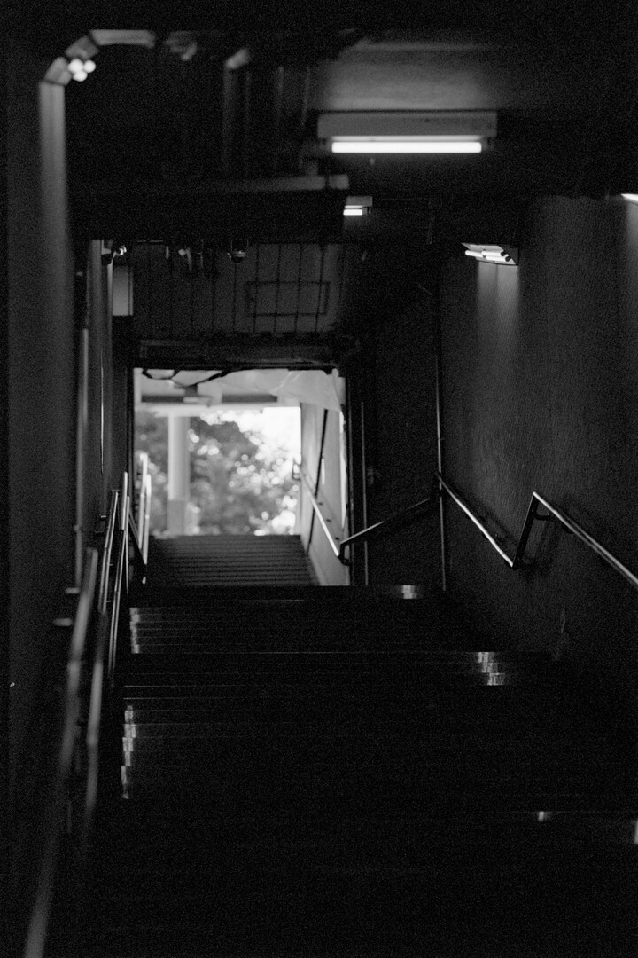 #00495 - 2024/07 - Kodak BW400CN - Gotanda