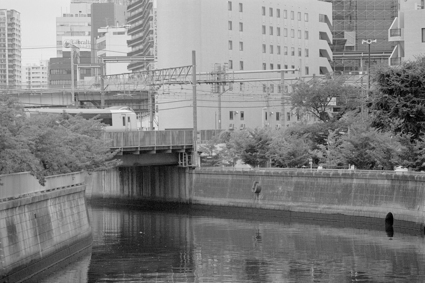 #00500 - 2024/07 - Kodak BW400CN - Gotanda